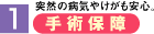 ��p�ۏ�